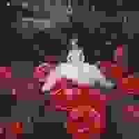 broken image