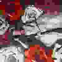 broken image