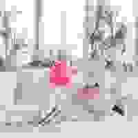 broken image