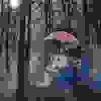 broken image