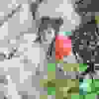 broken image