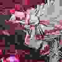broken image