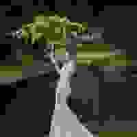 broken image