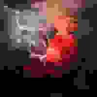 broken image