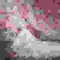 broken image
