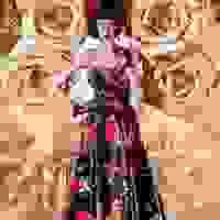broken image