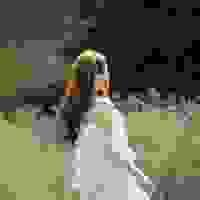 broken image