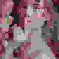 broken image