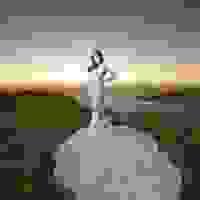 broken image