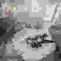 broken image
