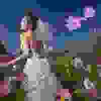 broken image