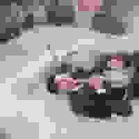 broken image