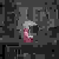 broken image