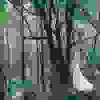 broken image
