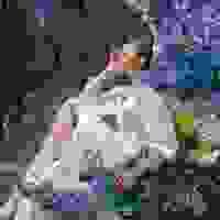 broken image