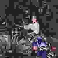 broken image