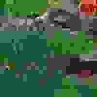 broken image