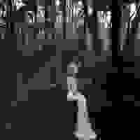 broken image