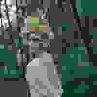 broken image
