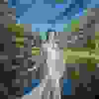 broken image