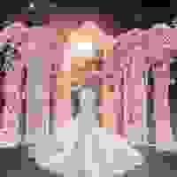 broken image