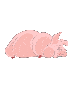 Caricature d'un cochon à partir d'un dessin