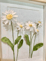 Daisy