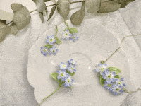 Forget me not