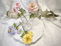 Peony