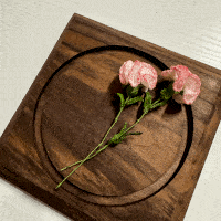 Carnation