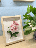 Orchid