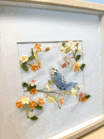 Budgerigar
