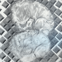 Harlow and Theo sleeping