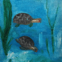 My turtles