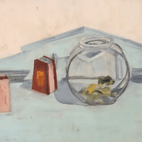 My fish named Felicia 