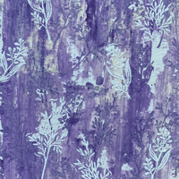 Violettes 