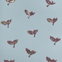 Oiseaux de feu