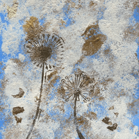 Vent d'été 