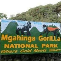 Gorilla trekking at mugahinga 