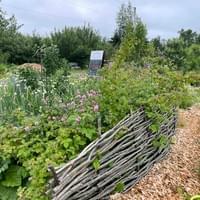 Scotsburn CommunityFood Forest