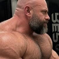 Bulk 2026.