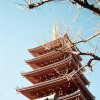 Kodak Ektar H35N 22mm f8 : Kodak Gold 200 實拍 @gordon_photograph