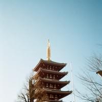 Kodak Ektar H35N 22mm f8 : Kodak Gold 200 實拍 @gordon_photograph