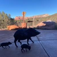 Sedona Red Rock visitor center