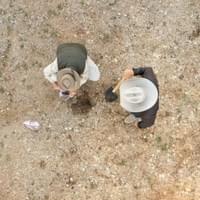 To Biocarpet Mycelium Growing