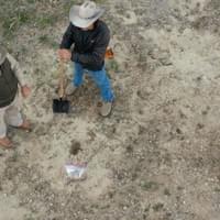 From Bare Sandy Soil