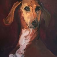 Portrait of a Vizsla  (oil on canvas)