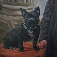 Bonaparte The French Bulldog  (oil on board)