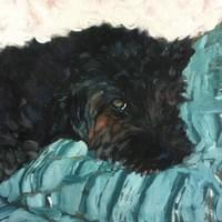 Moxie Naps (oil on canvas)