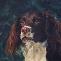 Hugo the English Setter (oil on canvas)